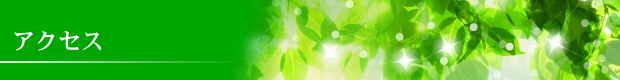 杉の風　アクセス